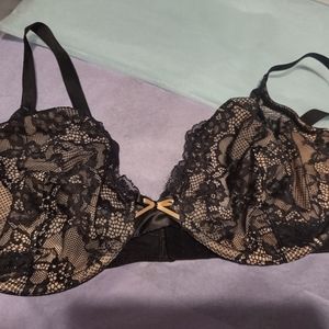 new fredericks of hollywood moonbeam lace garter belt new fredericks of hollywood moonbeam lace garter belt